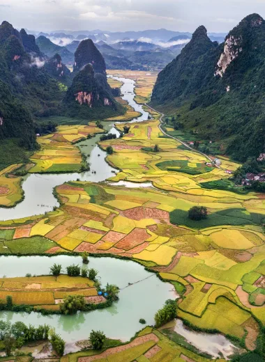 agricultural agricultural