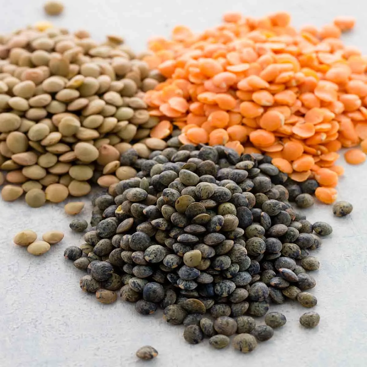 lentil