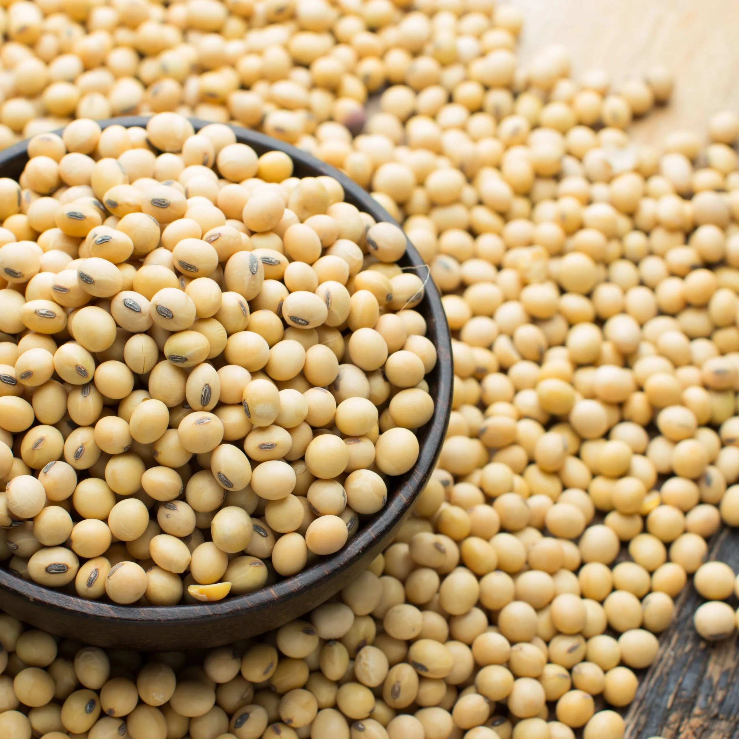 soyabean